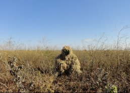 Маскировочные костюмы для охоты в интернет-магазине в Нижнем Новгороде, купить маскировочную сеть с доставкой картинка 4