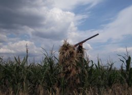 Маскировочные сети и костюмы Taganrog в интернет-магазине в Нижнем Новгороде, купить маскировочную сеть с доставкой картинка 14