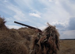 Маскировочные сети и костюмы Taganrog в интернет-магазине в Нижнем Новгороде, купить маскировочную сеть с доставкой картинка 15