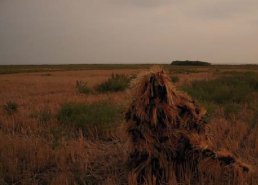 Маскировочные костюмы для охоты в интернет-магазине в Нижнем Новгороде, купить маскировочную сеть с доставкой картинка 14