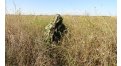 Маскировочный халат Taganrog Кикимора – купить по цене 3550 руб. в интернет-магазине в городе Нижний Новгород картинка 13